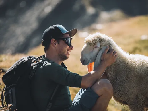 Gasthof Weisskugel: your walking holiday in the Austrian Alps Mann mit Rucksack streichelt ein Schaf auf einer Bergwiese