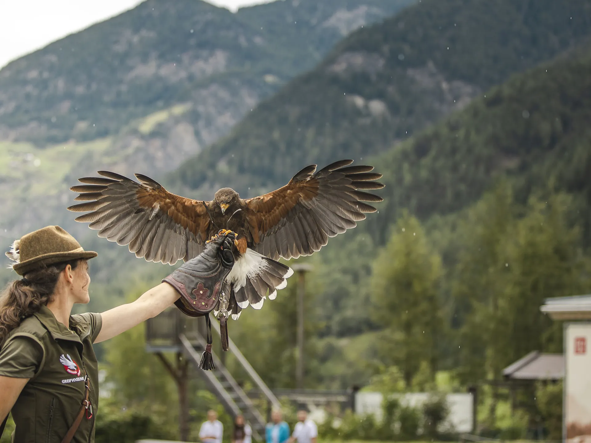 Gasthof Weisskugel: your walking holiday in the Austrian Alps Woman holds a bird of prey on her arm against a mountain landscape