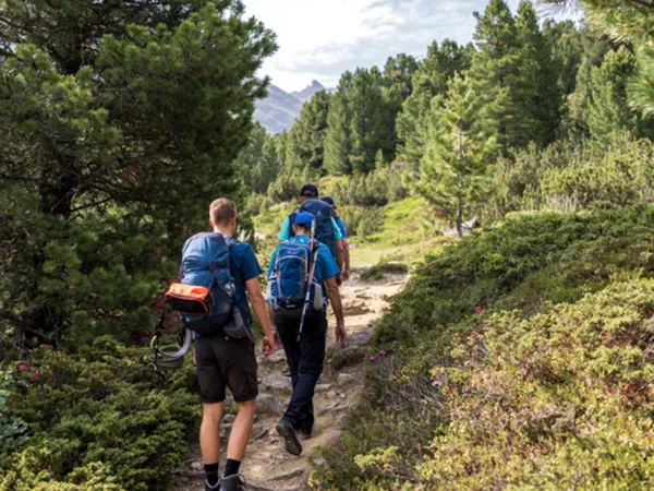 Gasthof Weisskugel: your walking holiday in the Austrian Alps Drei Wanderer mit Rucksäcken auf Waldweg in den Bergen