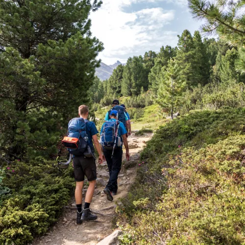 Gasthof Weisskugel: your walking holiday in the Austrian Alps Drei Wanderer mit Rucksäcken auf Waldweg in den Bergen