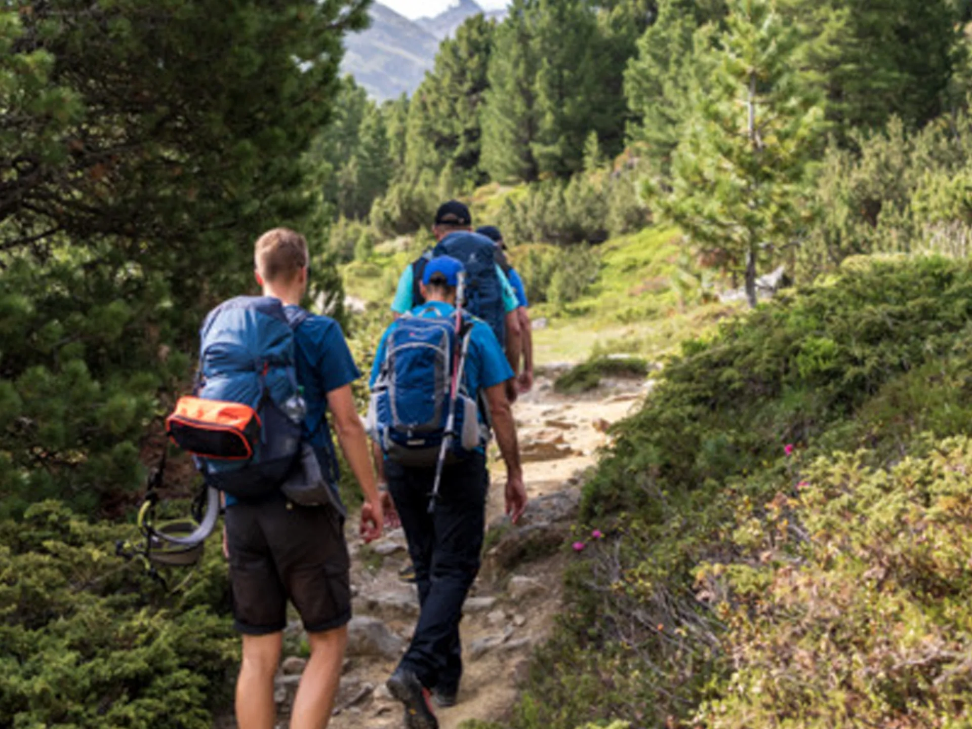 Gasthof Weisskugel: your walking holiday in the Austrian Alps Drei Wanderer mit Rucksäcken auf Waldweg in den Bergen